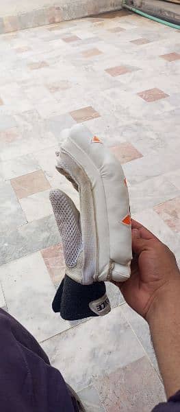 Cricket Pads gloves 15