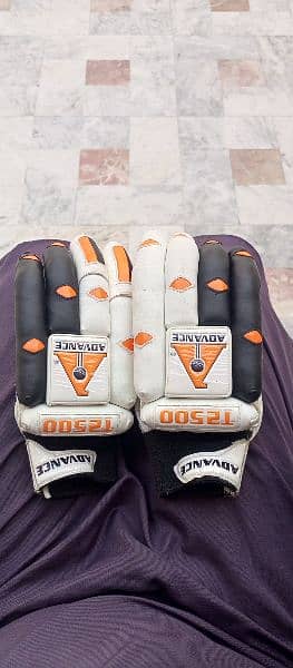Cricket Pads gloves 17