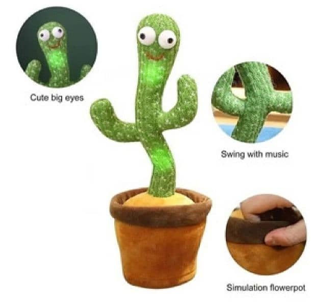 dancing cactus poda 1