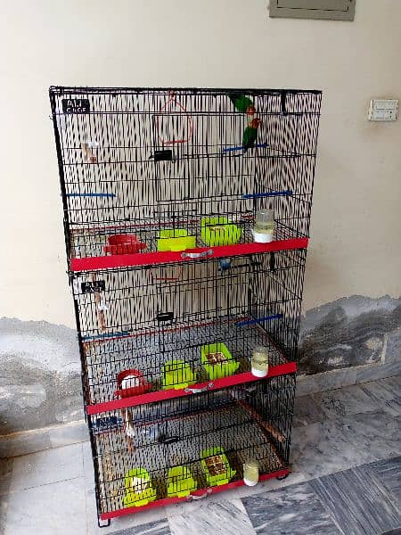 cages, birds and accessories 1