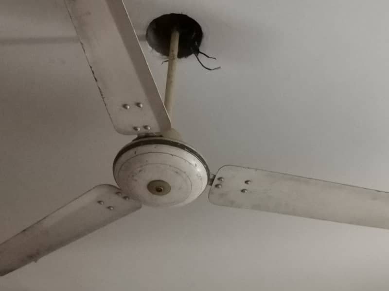 2 ceiling fans 1