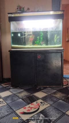 fish aquarium big size