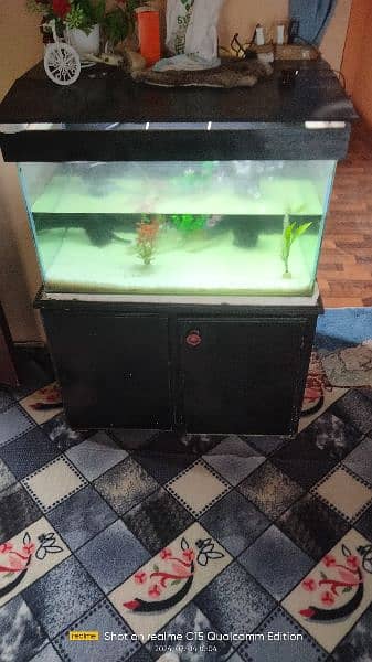 fish aquarium big size 3