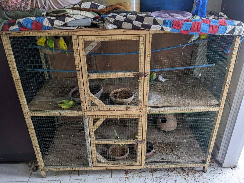 13 parrots with cage and pots and nest 1