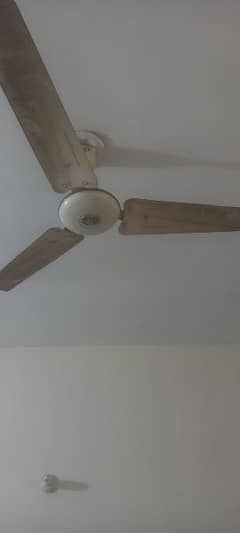 Pak fans and Millat ceiling fans available