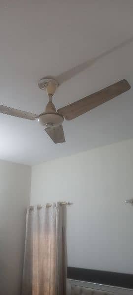 Pak fans and Millat ceiling fans available 1