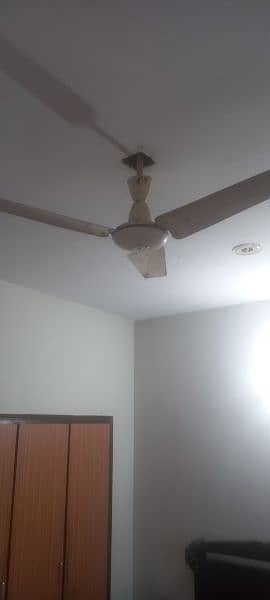 Pak fans and Millat ceiling fans available 3