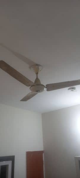 Pak fans and Millat ceiling fans available 5