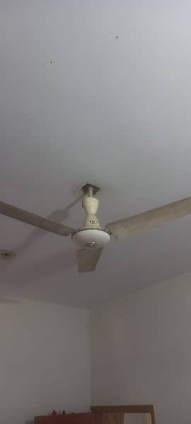 Pak fans and Millat ceiling fans available 6