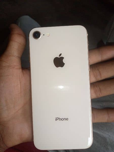 i phone 8 1