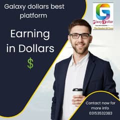 REAL ONLINE EARNING WORK
