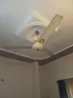 Two celling Fans are available for sale