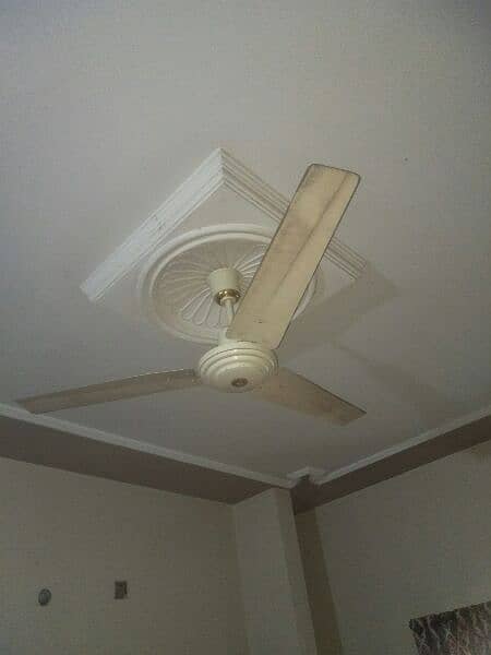 Two celling Fans are available for sale 1