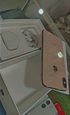 Xs Max