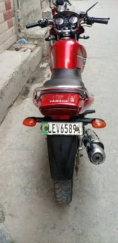 yamaha