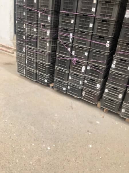 Industrial Beens urgently sale Qty 2k 5