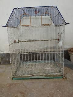 medium size cage for gray pahari and other parrots