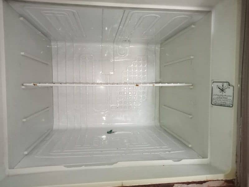 freezer 4