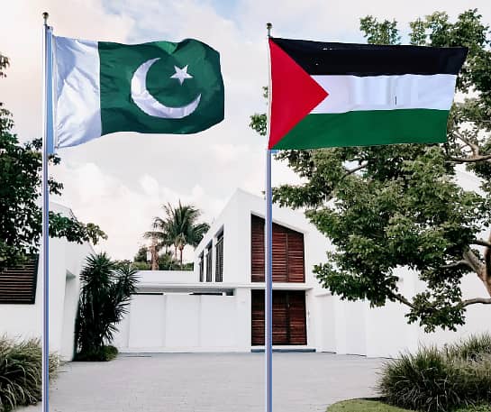 12 Feet Pakistani Flag with Wall-Mounted Outdoor Pole ,Palestine Flag 4