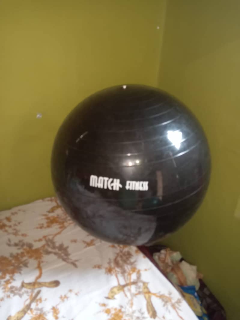 Gym balls (imported) Fresh Ball 1