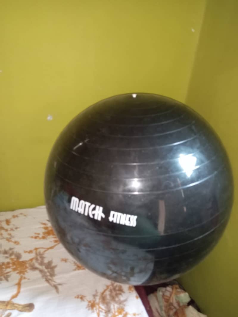 Gym balls (imported) Fresh Ball 2