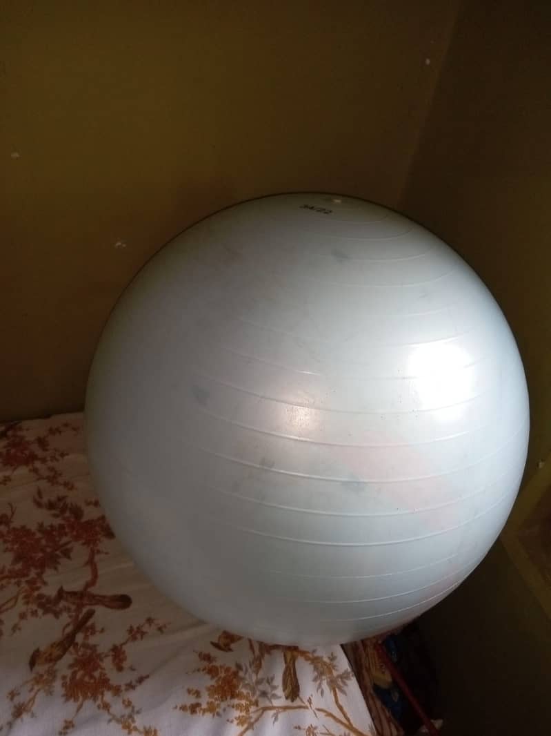 Gym balls (imported) Fresh Ball 3