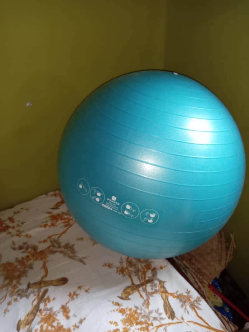 Gym balls (imported) Fresh Ball 9