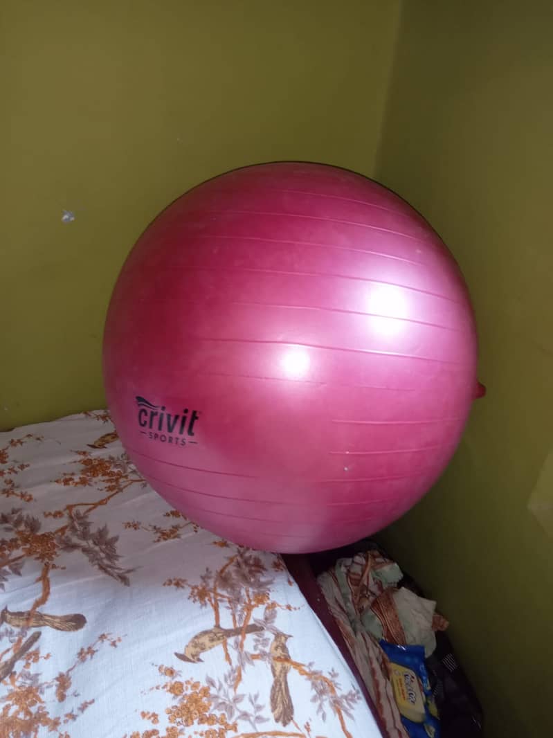 Gym balls (imported) Fresh Ball 10