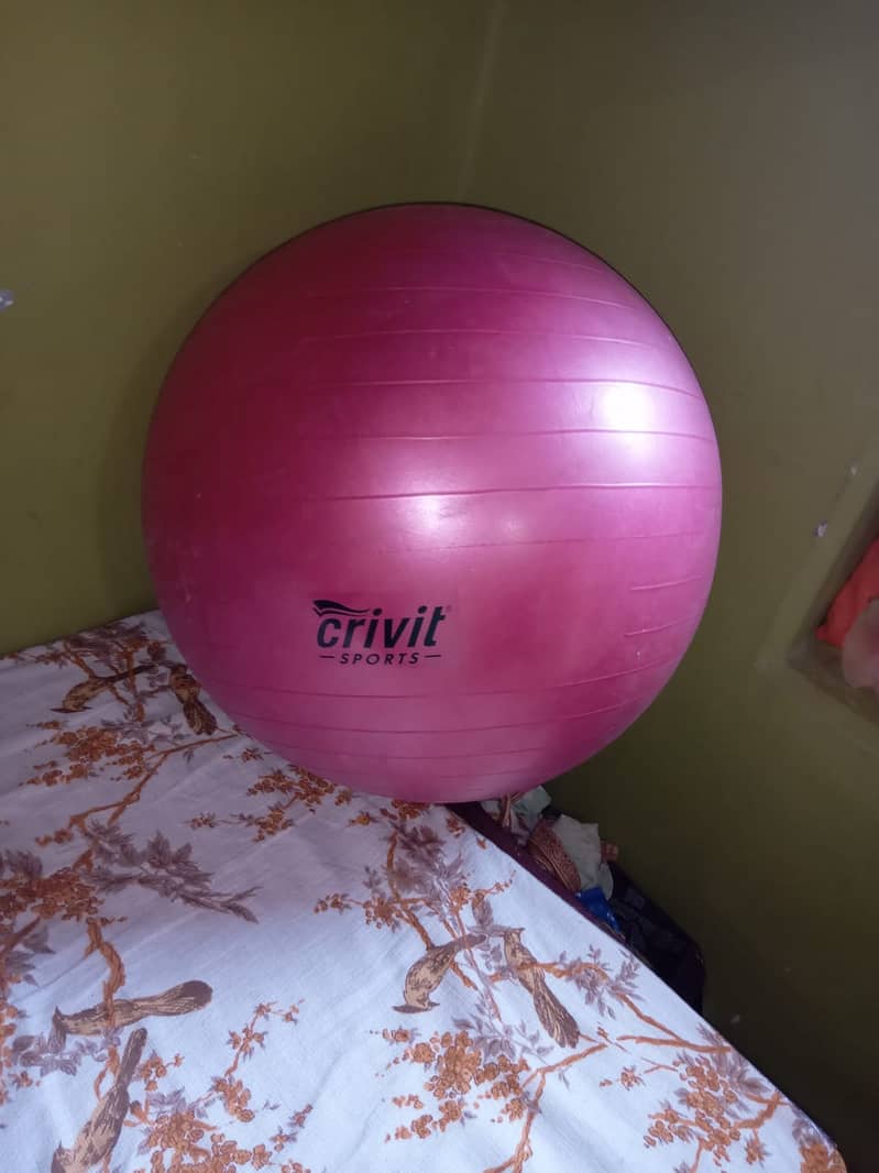 Gym balls (imported) Fresh Ball 11