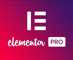Elementor pro for Wordpress development 0
