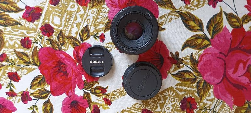 50mm 1.8 Lens Canon 5