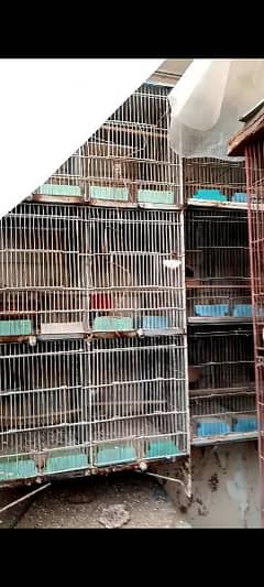 Cages for sale