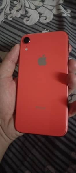 Iphone XR 0