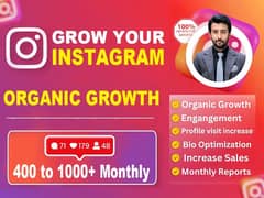Instagram Organic Promotion | social media marketing | graphic design 0
