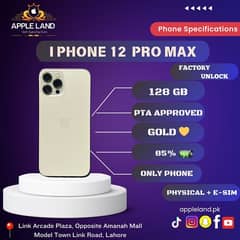 IPHONE 12 PRO MAX