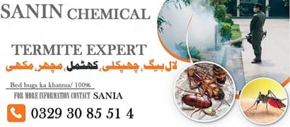 Pest Control/ Termite Deemak Control/ Fumigation service/