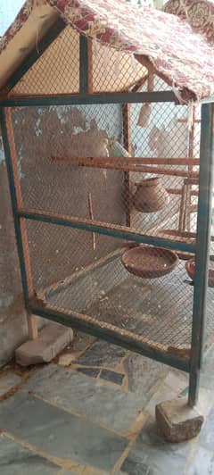 cage for sale