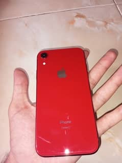 iPhone XR