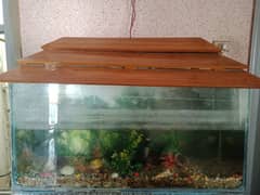 Aquarium for sale