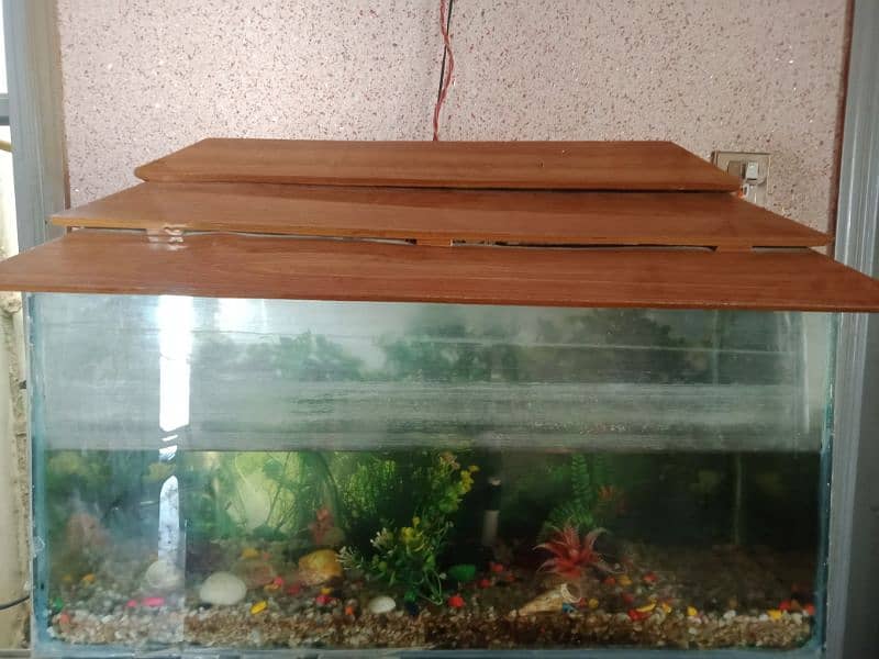 Aquarium for sale 1