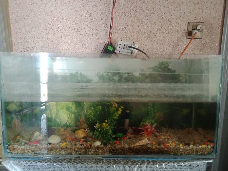 Aquarium for sale 2