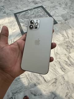 Iphone 12 pro max body