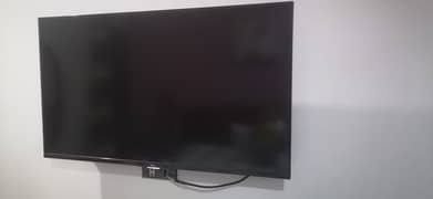 LED for Sale (TCL)