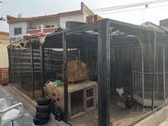 huge size cage for sale