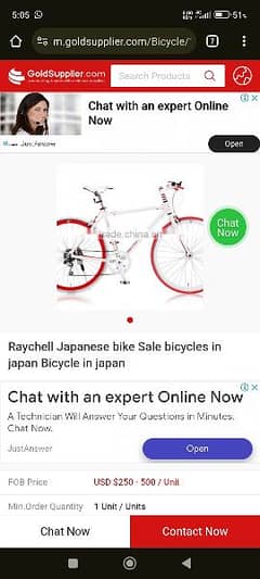 Raychell japanese bicycle 26 inch