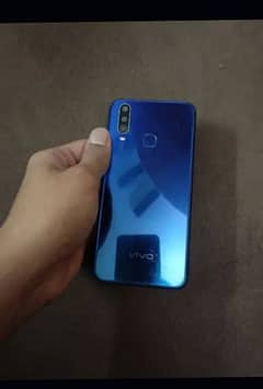 Vivo