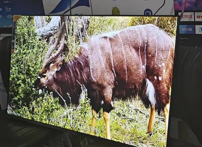 SAMSUNG LED 55,,INCH 8K UHD HDR.  new 03225848699 1