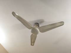 2 Years Used Ceiling Fans For Sale