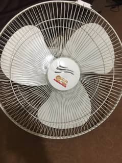 fan