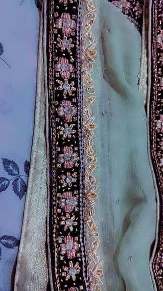 Walima Maxi 2